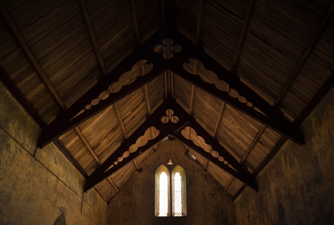 The Clock in the Wood