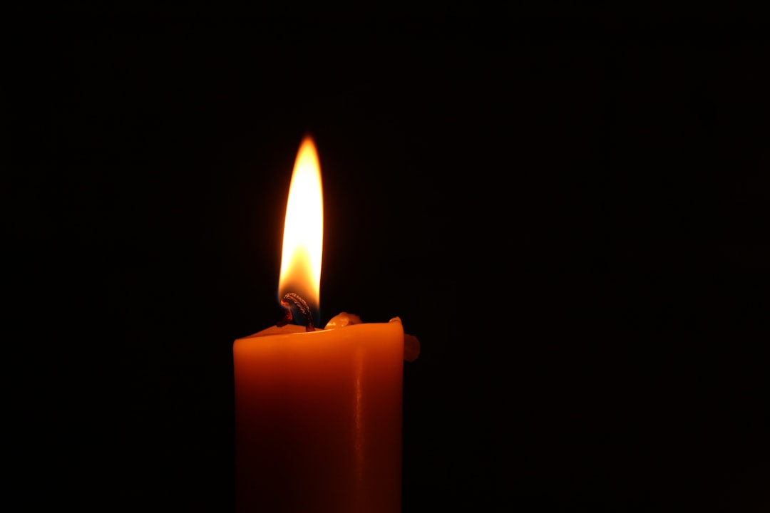 The Light the Moth Trusts