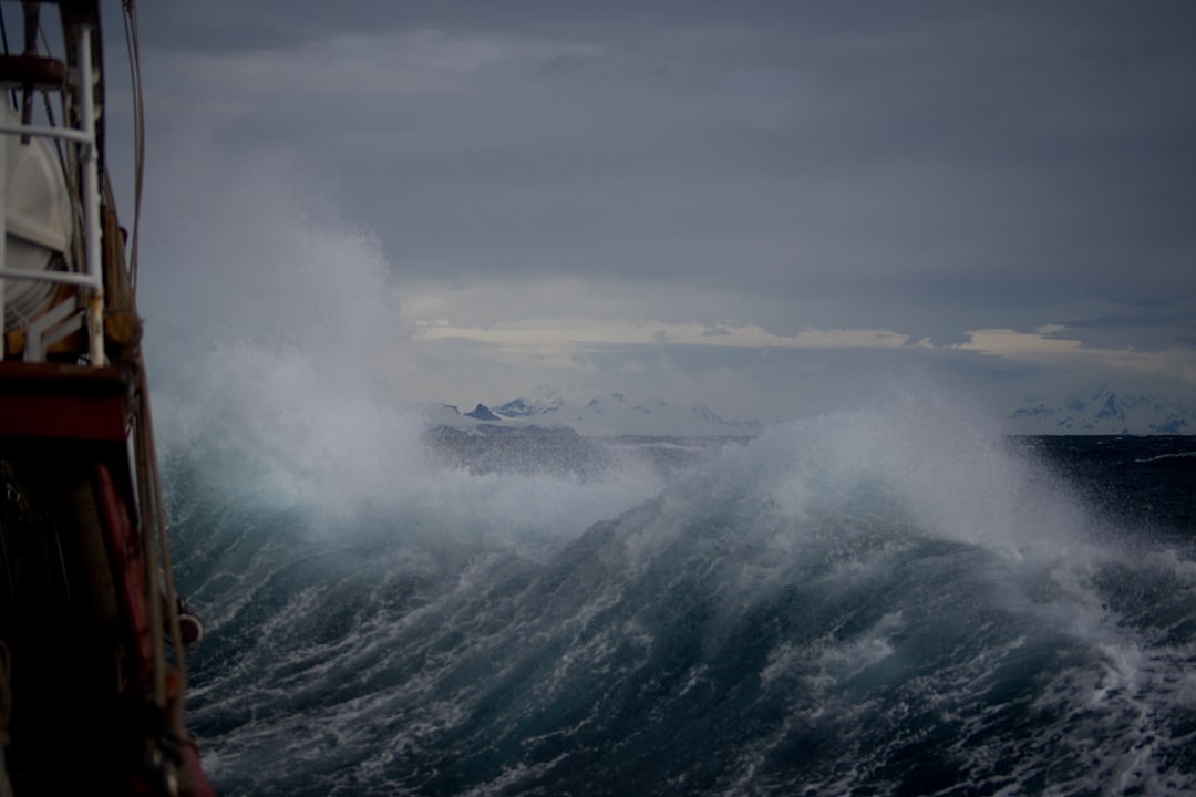 The Wind You Have to Read